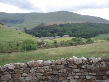 Cheviot